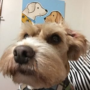 Meet your Posher, Lissa